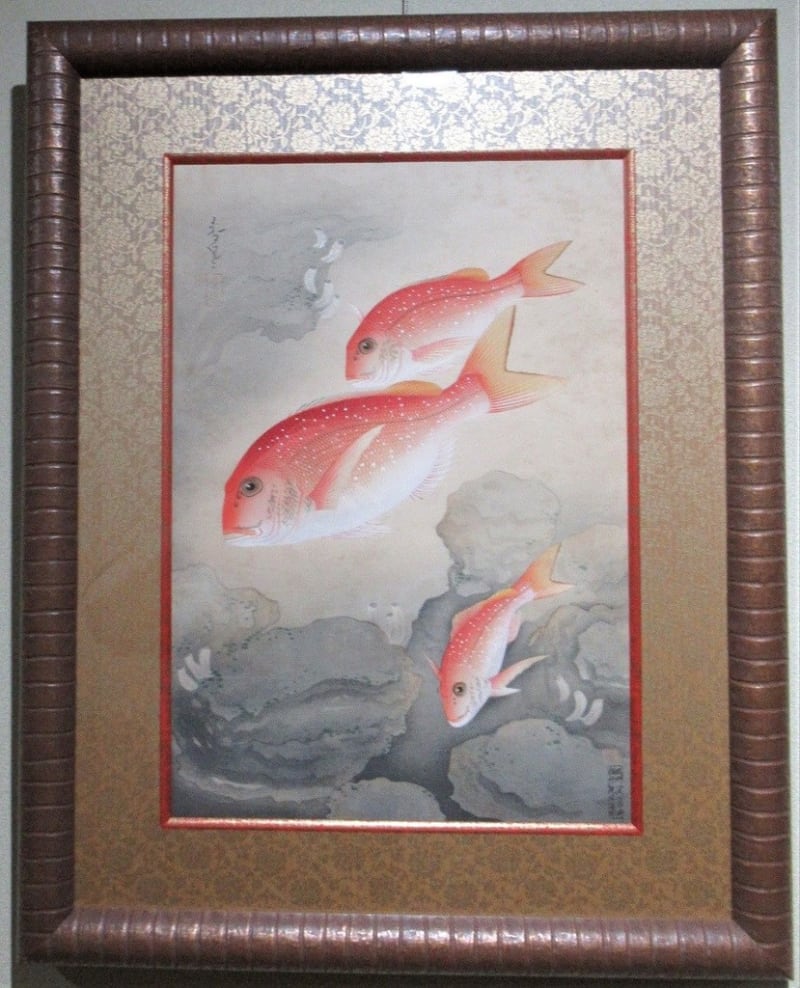 大日本魚類画集 NO53 鯛 大野麥風画 - 夜噺骨董談義