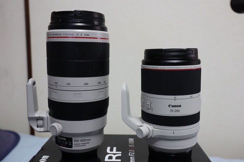 フルサイズミラーレスのEOS R6とRF70-200mm F2.8 L IS USMを購入 フルサイズミラーレスのEOS R6とRF70-200mm F2.8 L IS USMを購入