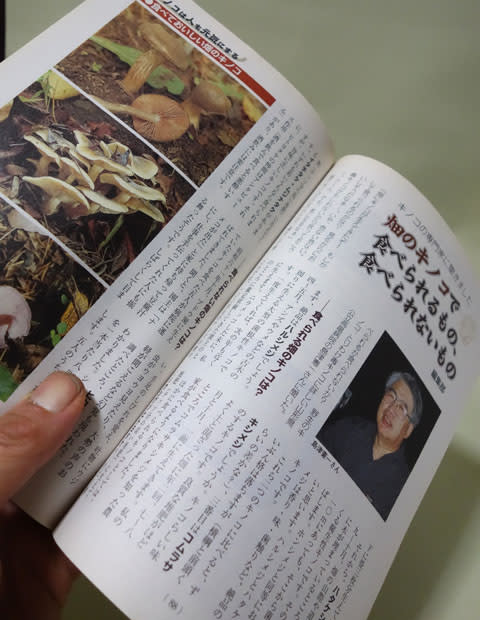 現代農業 2005年9月号 特集・キノコの力を』 - 月刊 きのこ人 現代農業 2005年9月号 特集・キノコの力を』 - 月刊 きのこ人