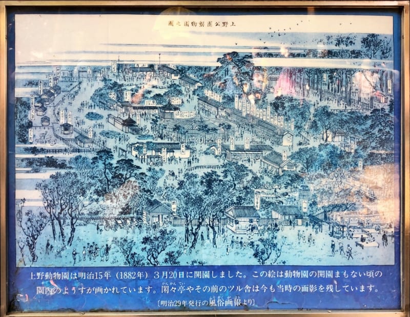 上野動物園は、1882年（明治15年）に開園。 - Senda＆Co. @sendaandco