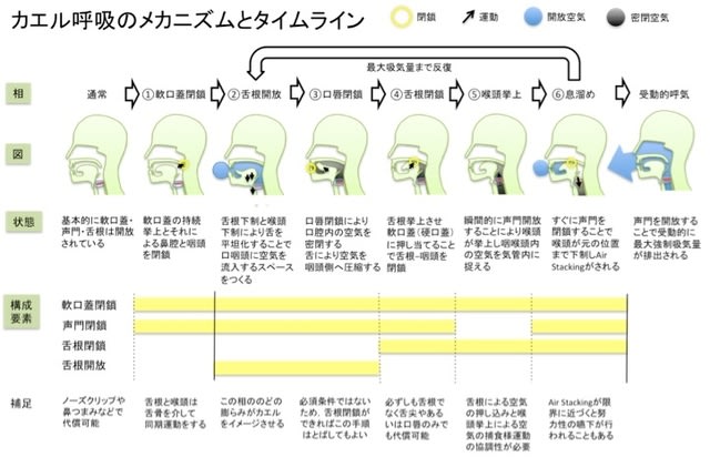 Amazon.co.jp: 病気がみえる 〈vol.4〉 呼吸器 (Medical Disease