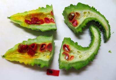 2020年7月後半のゴーヤ日記 7/17、7/21、7/25、7/28、7/29、7/30