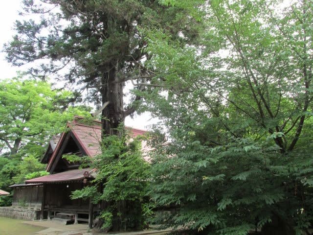 グランドセイコー セール 日先神社（茨城県土浦市） - 神が宿るところ タイヤ・ホイール