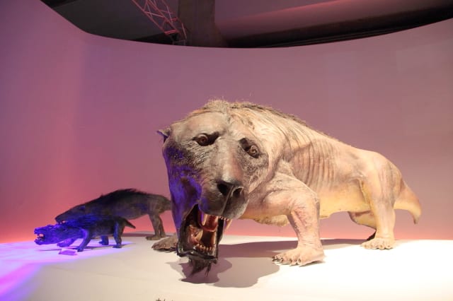 地球最古の恐竜展 その2 - イロイロ。。。