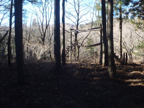 奥武蔵へようこそ 平成28年1月10日 浅間山から金昌寺 野老の里