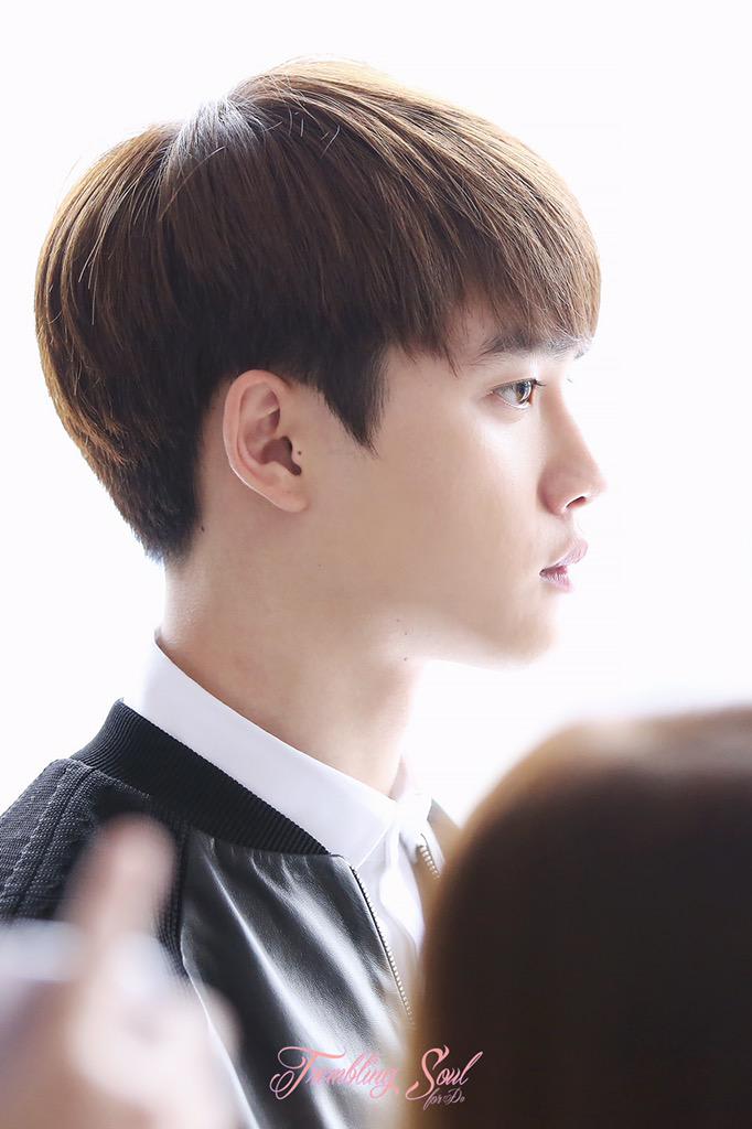 EXO-K・メンバー紹介2015～D.O - 12angels ～EXOちゃん応援ブログ