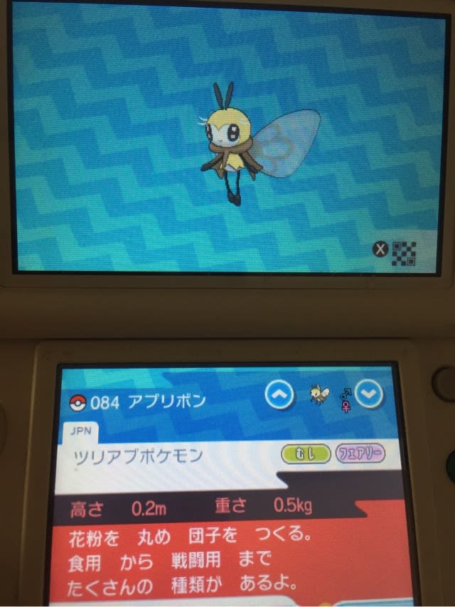 いろちがい アブリボン やま うみ