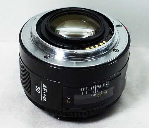 優等生の明るい標準レンズ ~Minolta AF 50mm F1.4 - 迷レンズ探訪 優等生の明るい標準レンズ ~Minolta AF 50mm F1.4 - 迷レンズ探訪