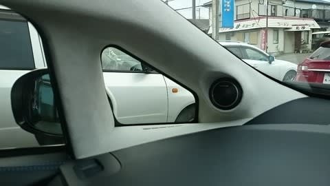 30プリウスAピラーツィータースコーカー