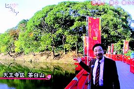 歴史秘話ヒストリア 真田丸 を掘る 私の日帰り散策 歴史秘話ヒストリア 真田丸 を掘る 私の日帰り散策