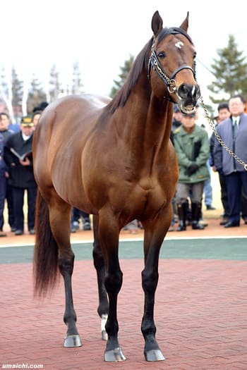 JBBA種牡馬の2007年種付け頭数がまとまる～ロックオブ