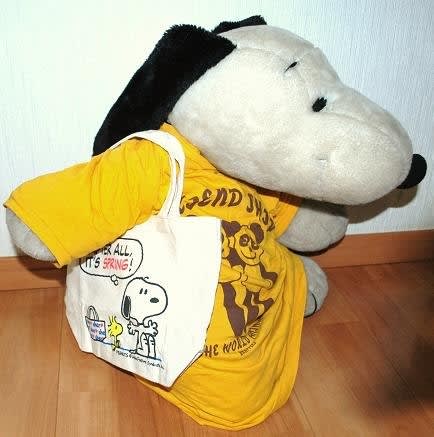 869 (・´`(◇) 「spring」付録☆Cher×SNOOPY 869 (・´`(◇) 「spring」付録☆Cher×SNOOPY