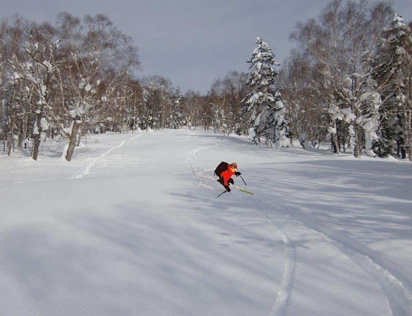 爆買い！ 齊藤四郎,感動絶景の雪山,約40号パネルにペン,これ程までの点描 絵画