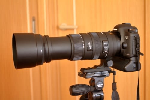 SIGMA APO 120-400mm F4.5-5.6 DG OS HSM 購入してみた。 - ひー SIGMA APO 120-400mm F4.5-5.6 DG OS HSM 購入してみた。 - ひー