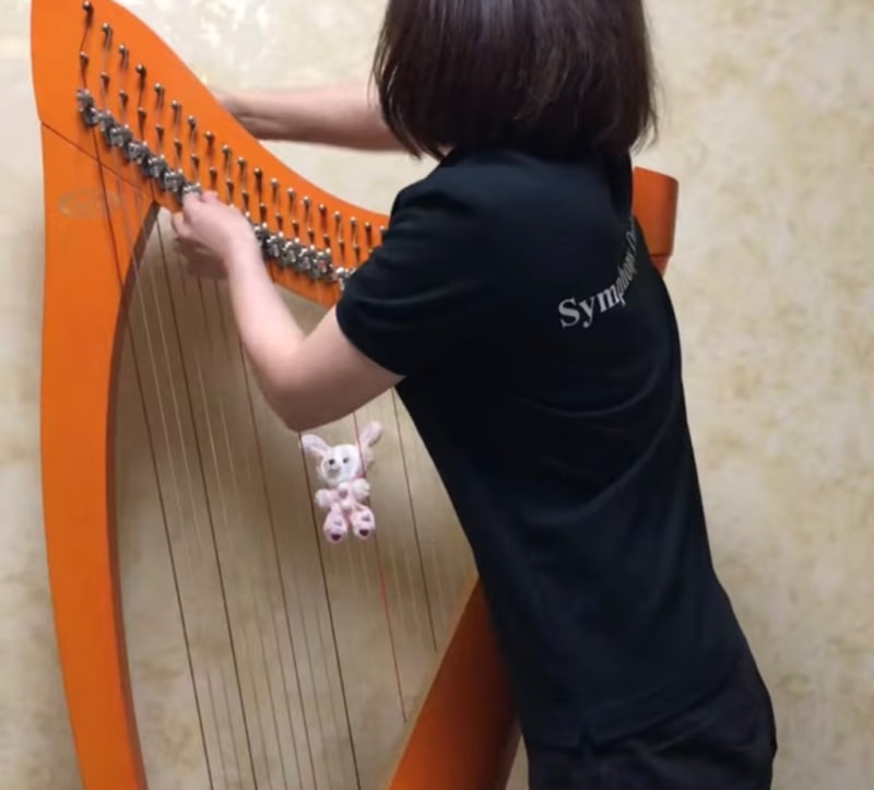 Bow Brand & Aoyama まくっ ハープ弦