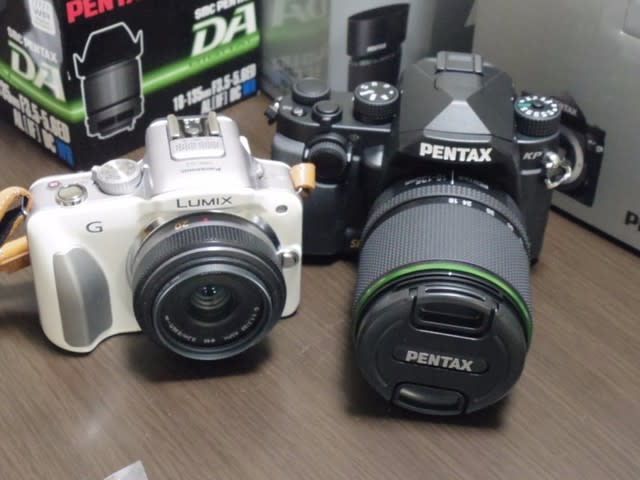 Pentax KP - うさぎくん Pentax KP - うさぎくん