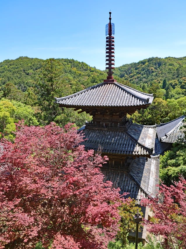 法華山 一乗寺（兵庫県加西市坂本町821-17） - 今、出発の刻（たびだちのとき）