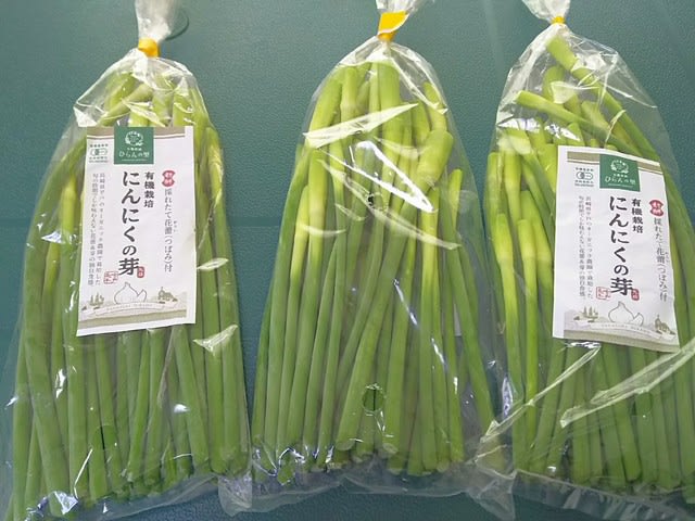 平戸にんにくの芽 ほっこり 奥平戸