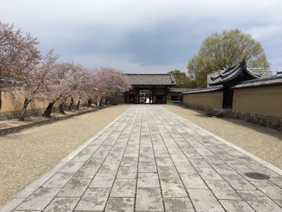 国宝救世観音菩薩立像 特別公開」 法隆寺夢殿 - はろるど 国宝救世観音菩薩立像 特別公開」 法隆寺夢殿 - はろるど