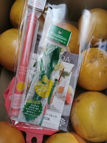 ridaさま  専用 レモン二本　オレンジ