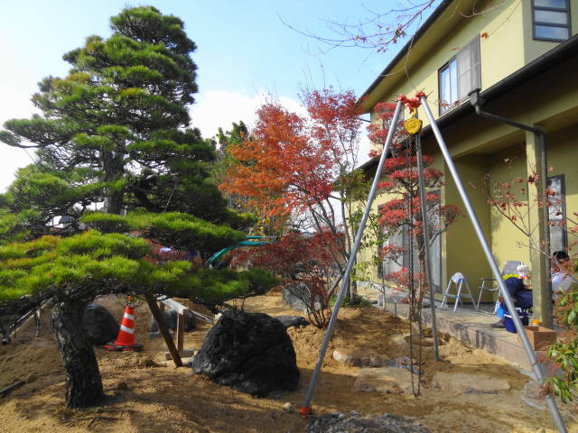 ドウダンツツジの植えつけ - 露花便り ドウダンツツジの植えつけ - 露花便り