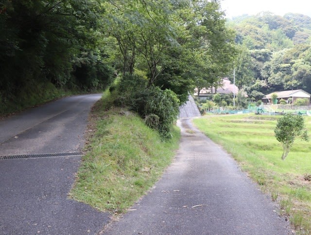 城下町てくてく歩き(唐澤山城）