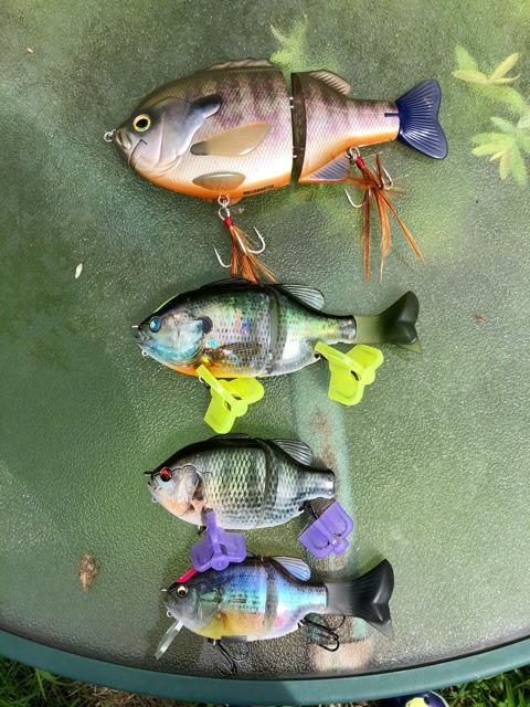 ブルーシューター190‼️ - バス釣りハンターハンター