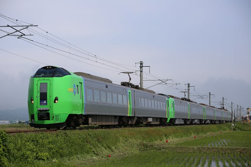 北海道青森遠征11、特急白鳥撮影～油川付近にて_15/06/17 - 80