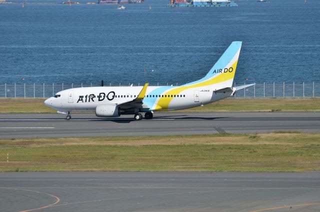 B737-700 金シャチ号 ジグソーパズル ジグソーパズル