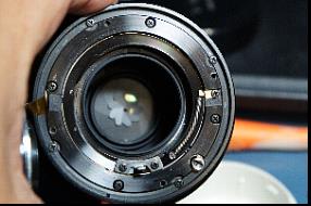第226沼】MINOLTA AF MACRO 100mm F2.8 ミノルタAFの名玉 第226沼】MINOLTA AF MACRO 100mm F2.8 ミノルタAFの名玉