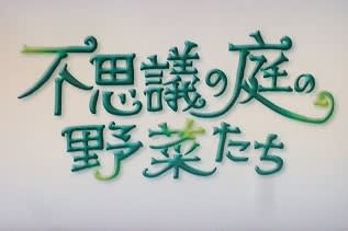 野菜たちの“命のサイクル”と“輝き”を見事に捉えた写真集‥奥田實