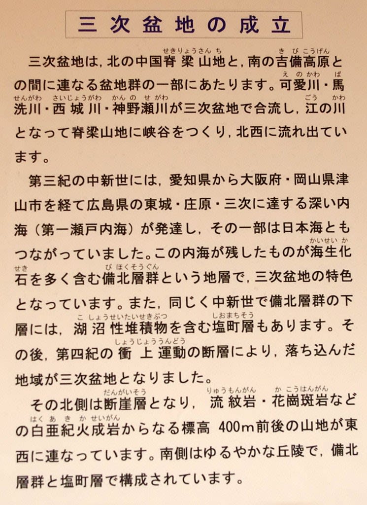 広島県方言辞典 (1981年) (広島県民俗資料外篇〈1〉) |本 | 通販