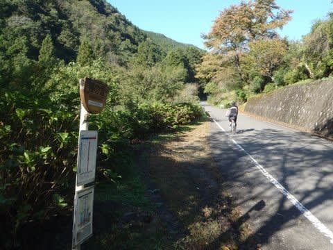 土坂峠を 求めて… | I run through for seasons !