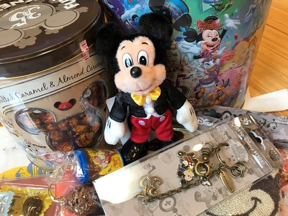 ディズニーランド アナハイム35周年キーホルダー 広かっ 売買