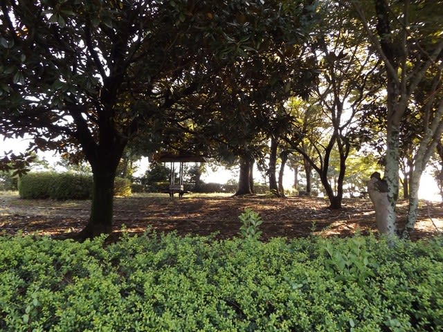 横隈山遺跡公園 街道を歩く