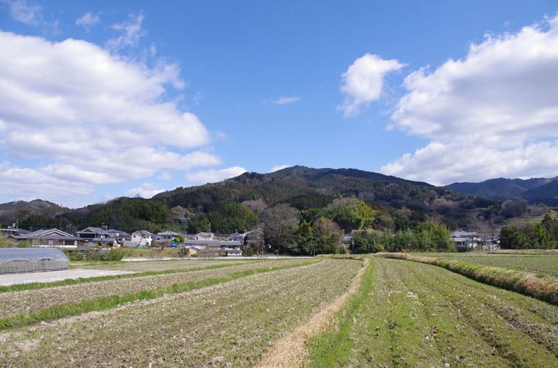 橘寺|奈良県明日香村 ~聖徳太子の生誕地と伝わる太子造立7ヶ寺 橘寺|奈良県明日香村 ~聖徳太子の生誕地と伝わる太子造立7ヶ寺