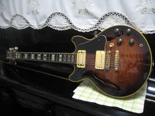 アイバニーズAM-205 僕の愛刀です！ - マージー小倉の目線