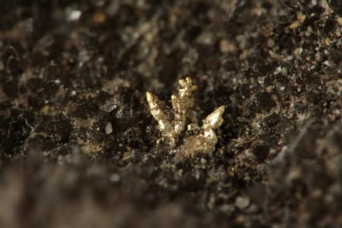 国産鉱物 自然金 特大美結晶 ◆群馬県 みなかみ町 天沼鉱山◆ 貴重標本 ＴＫＹ