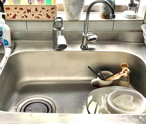 シンクの洗い桶捨てた☆超音波食洗器「The Washer Pro」を使う為 シンクの洗い桶捨てた☆超音波食洗器「The Washer Pro」を使う為
