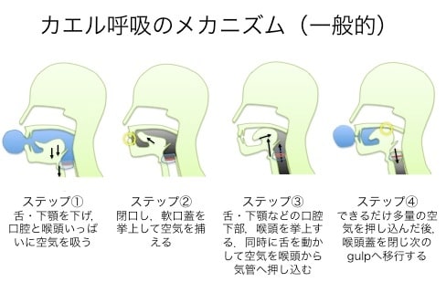 シモンズグランドセール カエル呼吸（舌咽頭呼吸）のメカニズムを再考する 東埼玉病院 - 健康家電