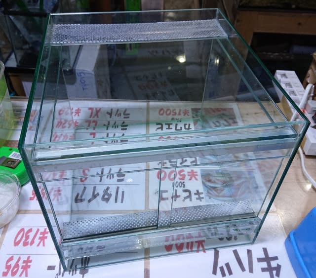 エーハイム ガラス 爬虫類 ケージ 引取り エーハイム ガラス 爬虫類 ケージ 引取り