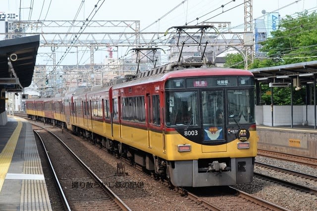 京阪 土居(2023.5.14) 8003F 特急 淀屋橋行き 淀屋橋地下