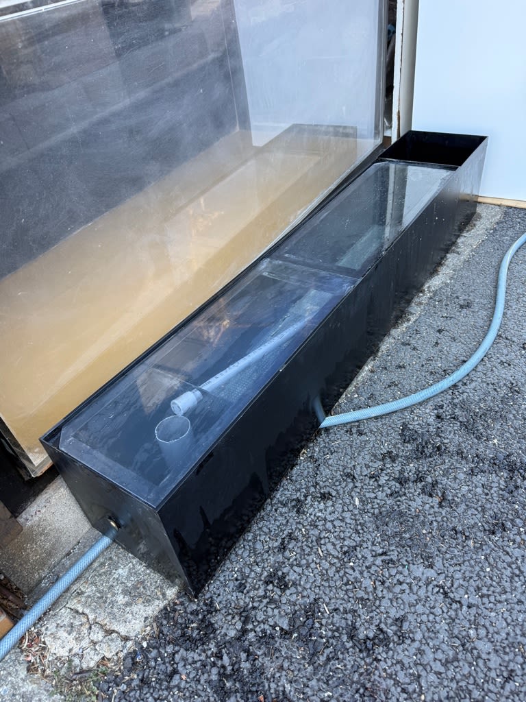 中古1500×600×600アクリル水槽、アングル台、上部フィルターBOX - モンスターアクアリウム&レプタイルズ 買取販売情報