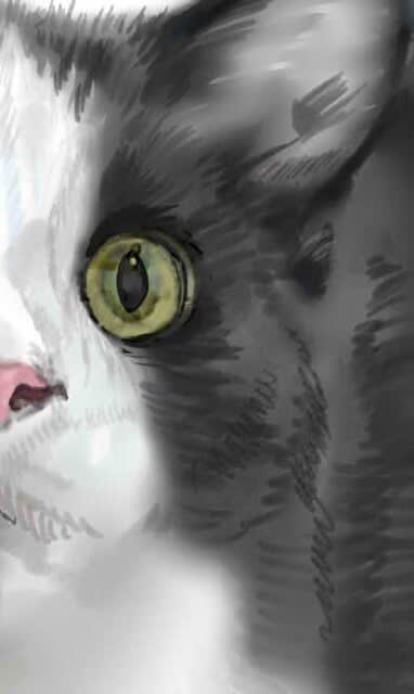 『4年保証』 Queen】絵画 絵画 - BAEZ3 メインクーン 原画 猫 CAT 絵画