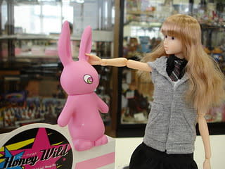 Honey Wild MOMOKO Doll Sekiguchi Petworks NRFB | eBay