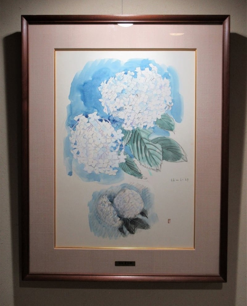 福田豊四郎作品 6作品入手 追加作品 その7 スケッチ 紫陽花