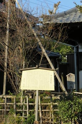 23； 『観世流謡曲百番集』より「東北」 観世左近 檜書店 - 乱鳥
