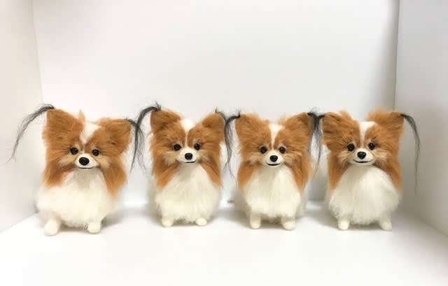 羊毛フェルト作品パピヨン！！ - 夫婦で作家活動してますʕ•ᴥ•ʔ