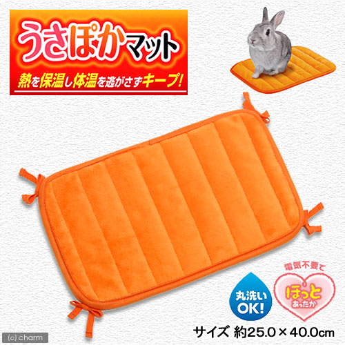 うさぎちゃん達の冬支度…あったかグッズ - 綴り箱