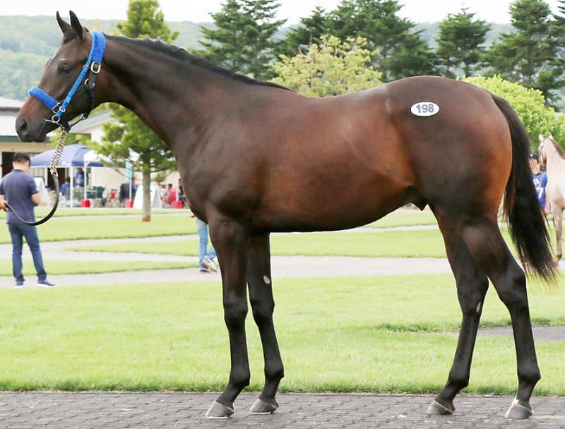 馬主 Toyota GENUINE Wheel Center Caps ×4 99-07 MR2 Spyder MR-S